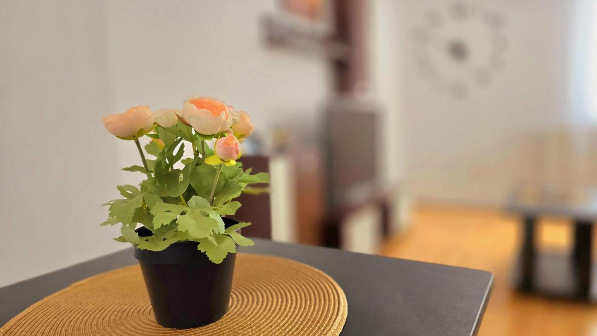 Apartament Confort Hd Hunedoara Buitenkant foto